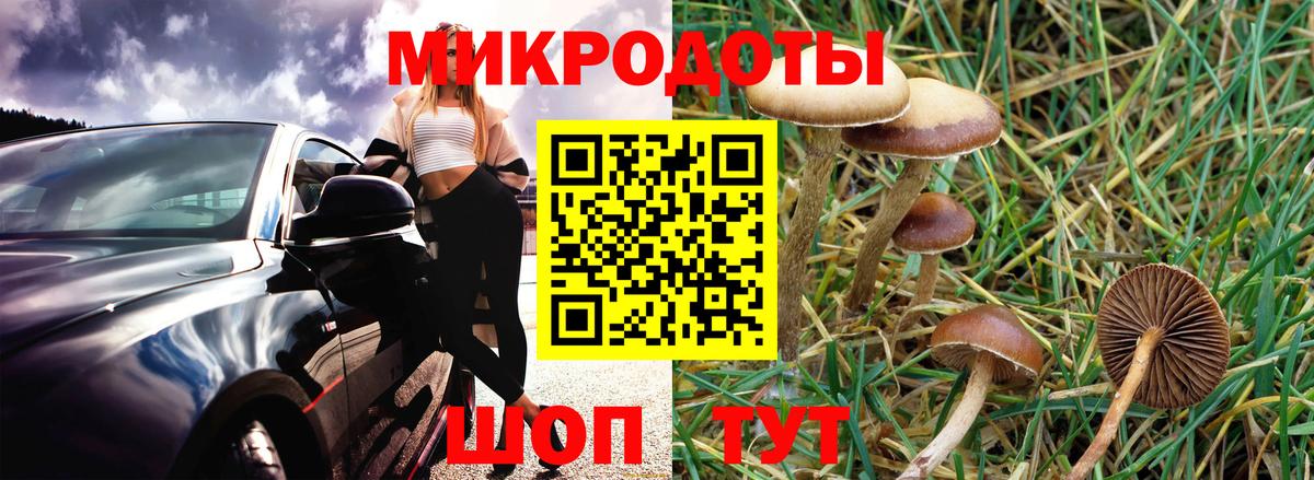 Галлюциногенные грибы MAGIC MUSHROOMS  Вход с VPN  Урай 
