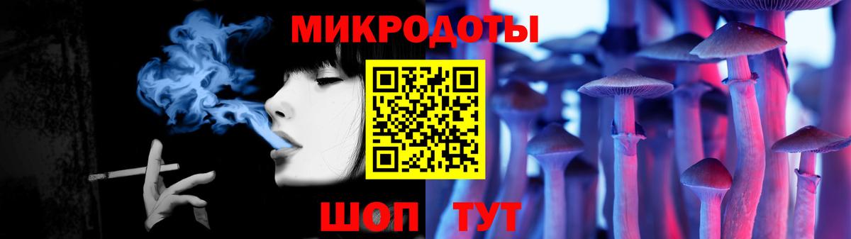 Галлюциногенные грибы Psilocybe Урай